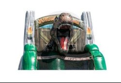 JP TrexTopView20 20Copy 1688322077 22' Single Lane T-Rex Slide