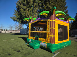 3504016737097830170 1770872084 Mardi Gras Palm Tree 15x15 Bounce House